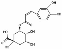 chlorogenic acid