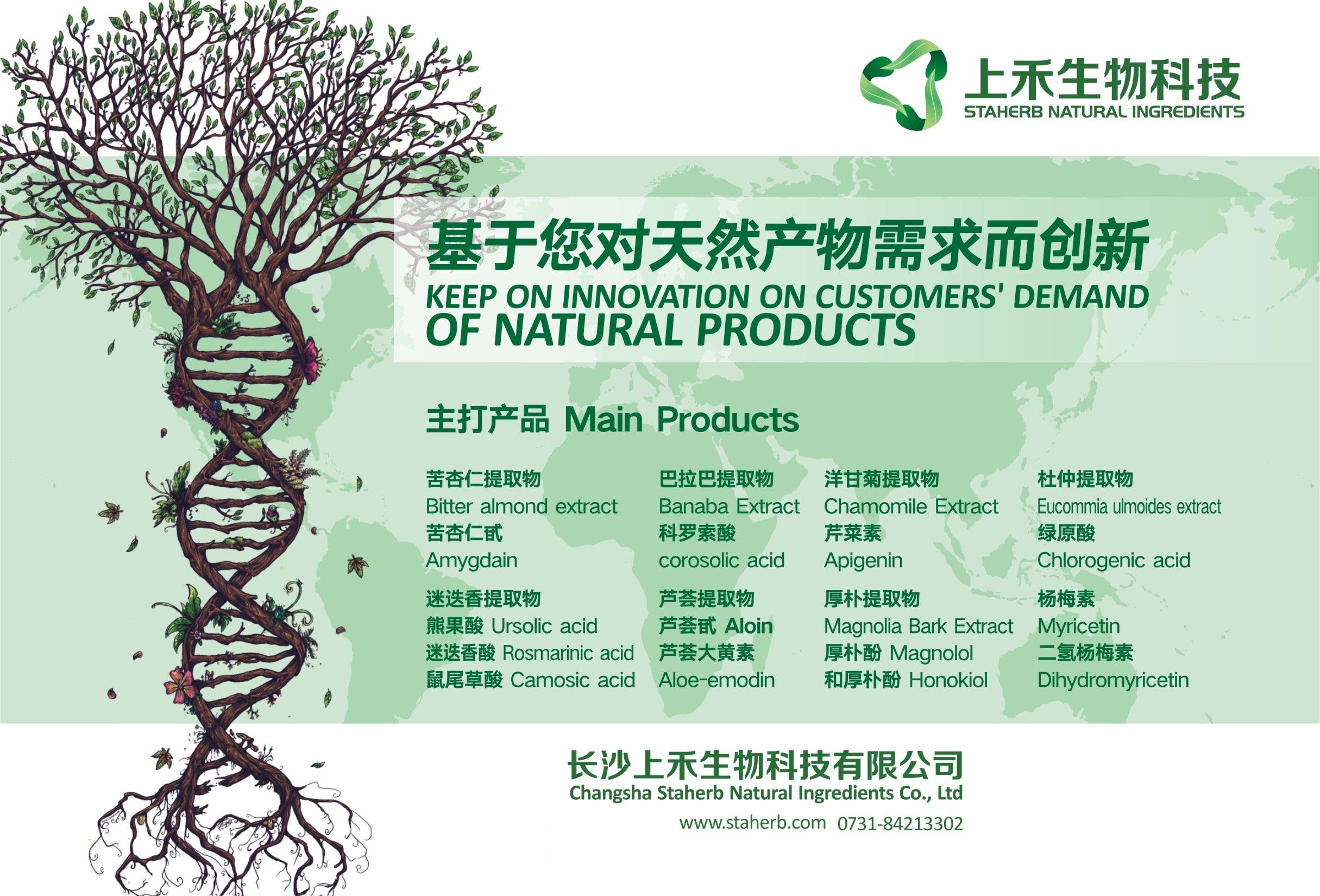 我国中草药资源丰富,用药历史悠久,随着对中草药有效成分的深入研究,中草药提取物的发展具有巨大的潜力,中草药植物中含有生物碱、多酚、黄酮、多 糖、萜、甙、醌、内脂类、香豆素、有机酸、寡糖、环肽、蛋白质等多种活性成分,因此中草药植物提取物具有一定的抗氧化、抑菌等作用。 翁新楚等从700余种中草药和香辛料筛选出64种具有抗氧化活性植物,其中很大一部分是中草药植物。许多研究表明,在肉制品中加入中草药提取物可以达到良好的防腐和保鲜效果,张立伟等研究表明连翘提取物能清除猪油体系的自由基,延长猪油的保存期;陈玉敏研究表明在饲粮中添加杜仲叶提取物不仅可以提高肉鸡免疫力和抗氧 化功能,提高肉鸡生产性能,还可以提高肌肉的不饱和脂肪酸的含量,改善肉的风味和品质;南海娟等将金银花的叶与花的醇提物添加到食用油脂中,金银花 醇提物显著抑制玉米油、大豆油、猪油、花生油的氧化,其中金银花醇提物对猪油的氧化抑制最为明显;冯远在研究牛至油对猪油抗氧化活性影响时,也发现超临界萃取的牛至油对猪油有良好的抗氧化作用。另外,在肉制品抑菌方面的研究也取得较大成果,胥忠生等测定了杜仲叶提取物对猪肉糜制品的抑菌效果,结果表明杜仲叶提取物具有较强的抑菌能力,王明英等的研究也表明杜仲叶提取物对肠道菌有一定的抑制作用;蒋侬辉等用穿心莲、夏枯草、竹叶、白花蛇舌草、鸡骨草及板蓝根的提取液分别处理肉丸,感官鉴定及细菌检测结果表明这6种提取液都能提高肉丸的保存期,其中穿心莲效果最佳;Serrano M 等将百里香酚、丁香酚和薄荷醇提物添加到聚丙烯袋上,在低温气调的条件下贮存16d后,霉菌、酵母菌和好氧性中温菌数量均有下降趋势;张怀珠等将3组中药提取物结合到包装中,也得到同样的效果,结果表明紫丹参提取液在维持冷却牛肉的感官品质、理化指标、微生物指标效果显著,均优于未经处理的对照组,并且结合抗菌提取液的包装保鲜效果更好,可见中草药提取物应用到肉制品中可以达到良好的保鲜效果。 我国中草药资源丰富,用药历史悠久,随着对中草药有效成分的深入研究,中草药提取物的发展具有巨大的潜力,中草药植物中含有生物碱、多酚、黄酮、多 糖、萜、甙、醌、内脂类、香豆素、有机酸、寡糖、环肽、蛋白质等多种活性成分,因此中草药植物提取物具有一定的抗氧化、抑菌等作用。 翁新楚等从700余种中草药和香辛料筛选出64种具有抗氧化活性植物,其中很大一部分是中草药植物。许多研究表明,在肉制品中加入中草药提取物可以达到良好的防腐和保鲜效果,张立伟等研究表明连翘提取物能清除猪油体系的自由基,延长猪油的保存期;陈玉敏研究表明在饲粮中添加杜仲叶提取物不仅可以提高肉鸡免疫力和抗氧 化功能,提高肉鸡生产性能,还可以提高肌肉的不饱和脂肪酸的含量,改善肉的风味和品质;南海娟等将金银花的叶与花的醇提物添加到食用油脂中,金银花 醇提物显著抑制玉米油、大豆油、猪油、花生油的氧化,其中金银花醇提物对猪油的氧化抑制最为明显;冯远在研究牛至油对猪油抗氧化活性影响时,也发现超临界萃取的牛至油对猪油有良好的抗氧化作用。另外,在肉制品抑菌方面的研究也取得较大成果,胥忠生等测定了杜仲叶提取物对猪肉糜制品的抑菌效果,结果表明杜仲叶提取物具有较强的抑菌能力,王明英等的研究也表明杜仲叶提取物对肠道菌有一定的抑制作用;蒋侬辉等用穿心莲、夏枯草、竹叶、白花蛇舌草、鸡骨草及板蓝根的提取液分别处理肉丸,感官鉴定及细菌检测结果表明这6种提取液都能提高肉丸的保存期,其中穿心莲效果最佳;Serrano M 等将百里香酚、丁香酚和薄荷醇提物添加到聚丙烯袋上,在低温气调的条件下贮存16d后,霉菌、酵母菌和好氧性中温菌数量均有下降趋势;张怀珠等将3组中药提取物结合到包装中,也得到同样的效果,结果表明紫丹参提取液在维持冷却牛肉的感官品质、理化指标、微生物指标效果显著,均优于未经处理的对照组,并且结合抗菌提取液的包装保鲜效果更好,可见中草药提取物应用到肉制品中可以达到良好的保鲜效果。